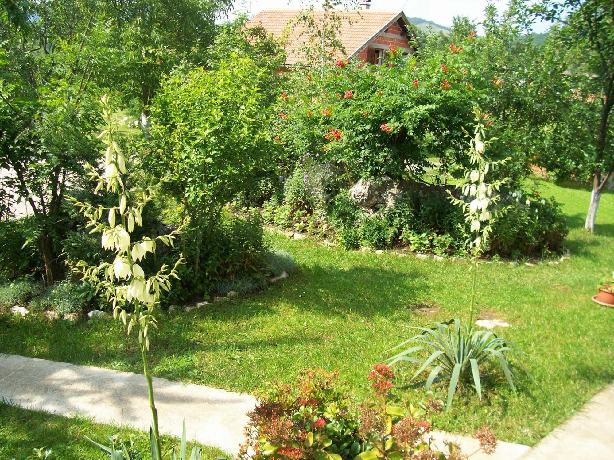 Maison d'hôtes House Zlatko à Selište Drežničko Extérieur photo